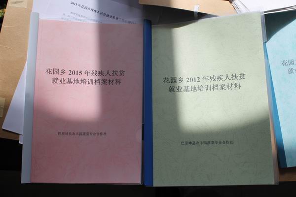 检查残疾人就业基地历年培训情况.jpg