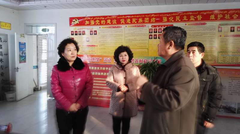 自治区残联党组成员、纪检组长肖文英慰问州残联驻村工作组