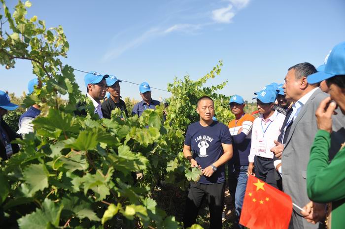 调整大小 DSC_5866.JPG